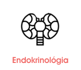 endokrinologie