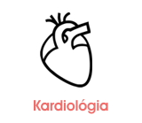 kardiologie